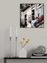 seagulls feeder Poster och Canvastavla