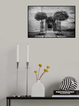 rose garden entrance Poster och Canvastavla