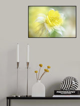 Mellow Poster och Canvastavla