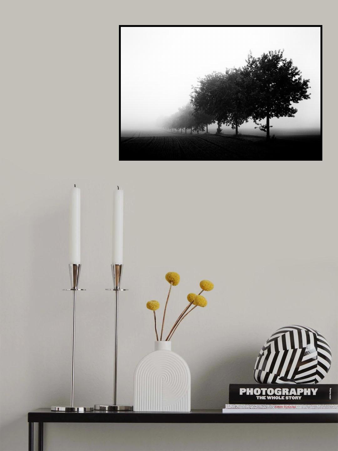 foggy day Poster och Canvastavla