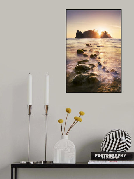 Pirate Island Poster och Canvastavla