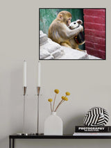 Bliss Poster och Canvastavla
