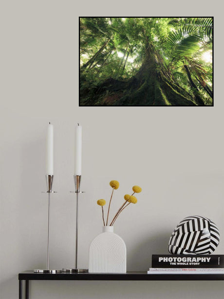 Walking in the Jungle Poster och Canvastavla