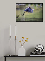 2 Poster och Canvastavla
