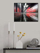 Moscow metro - red dragon Poster och Canvastavla