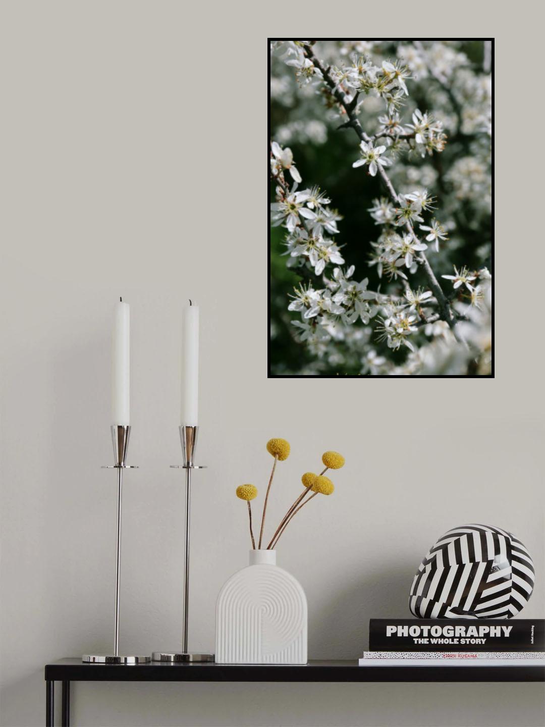 Spring blooms III Poster och Canvastavla