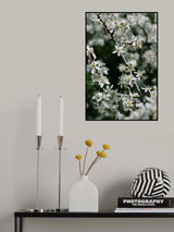 Spring blooms III Poster och Canvastavla
