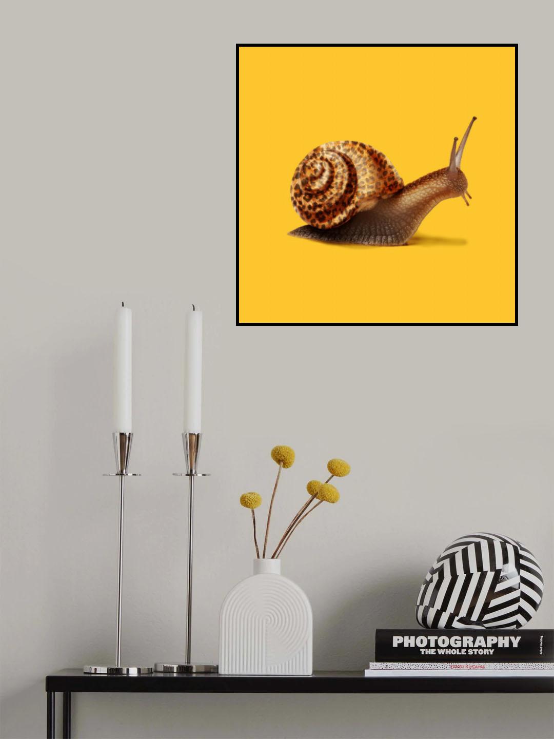 Fast like Cheetah Poster och Canvastavla