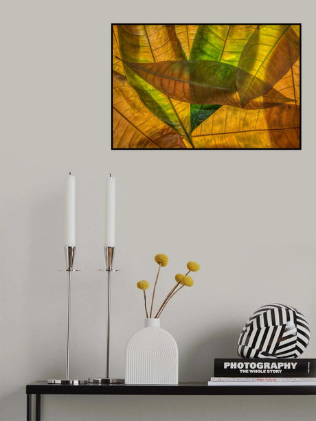 Colors of nature Poster och Canvastavla