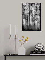 Woods Poster och Canvastavla