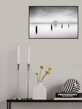 Three Cormorants and one Heron Poster och Canvastavla