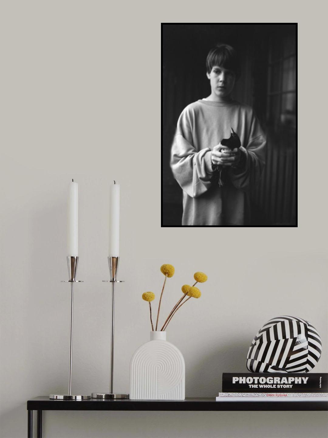 Boy with a bird Poster och Canvastavla