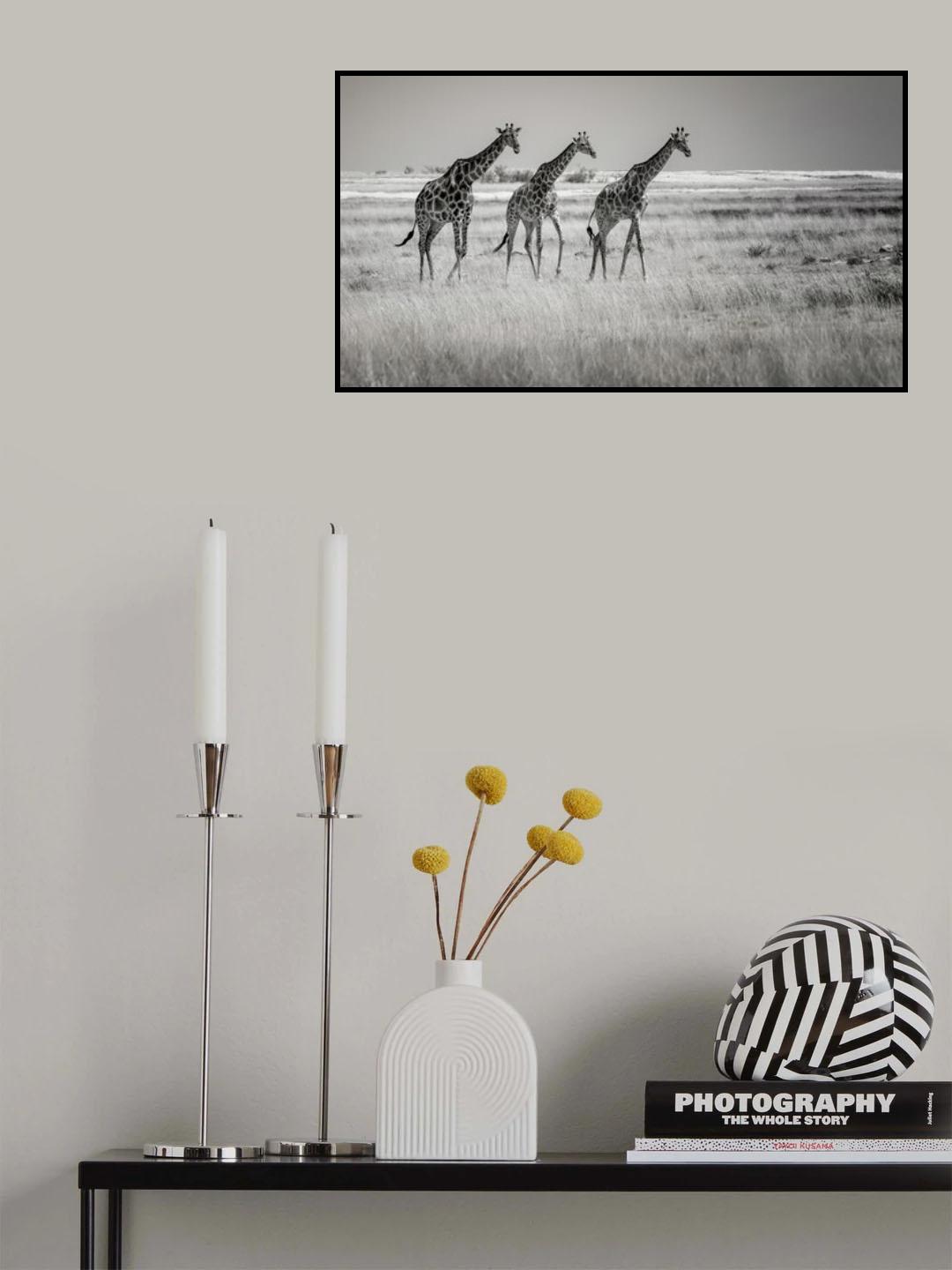 Come on girls. Let's go home! Poster och Canvastavla
