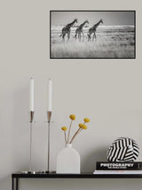 Come on girls. Let's go home! Poster och Canvastavla