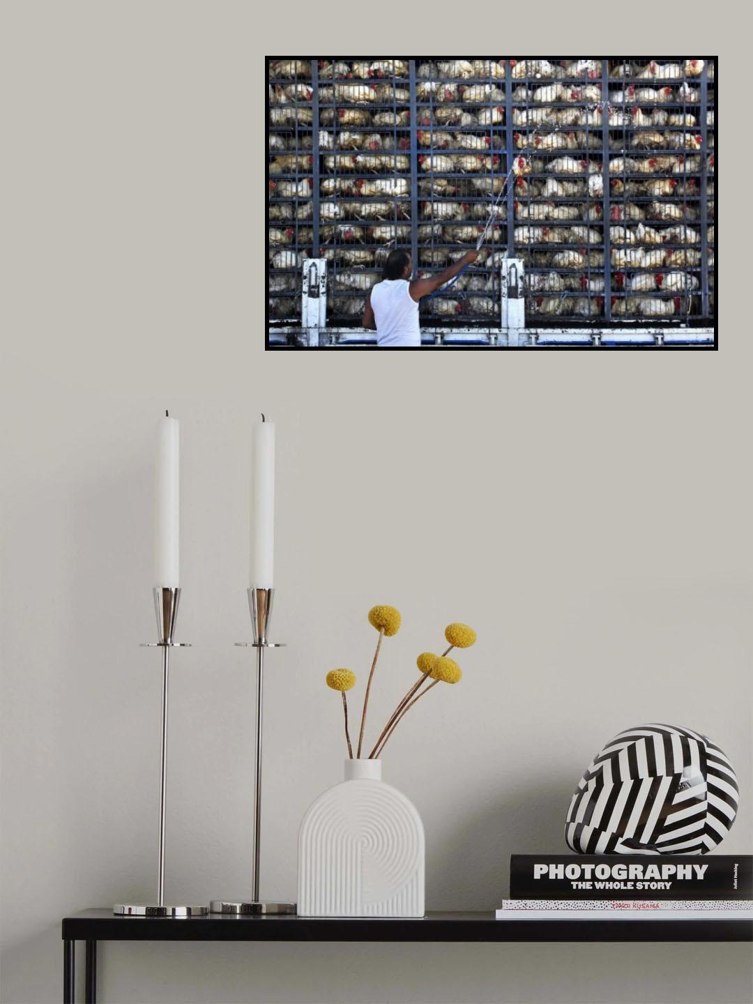 Poster och Canvastavla