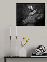 Three is a Crowd! Poster och Canvastavla