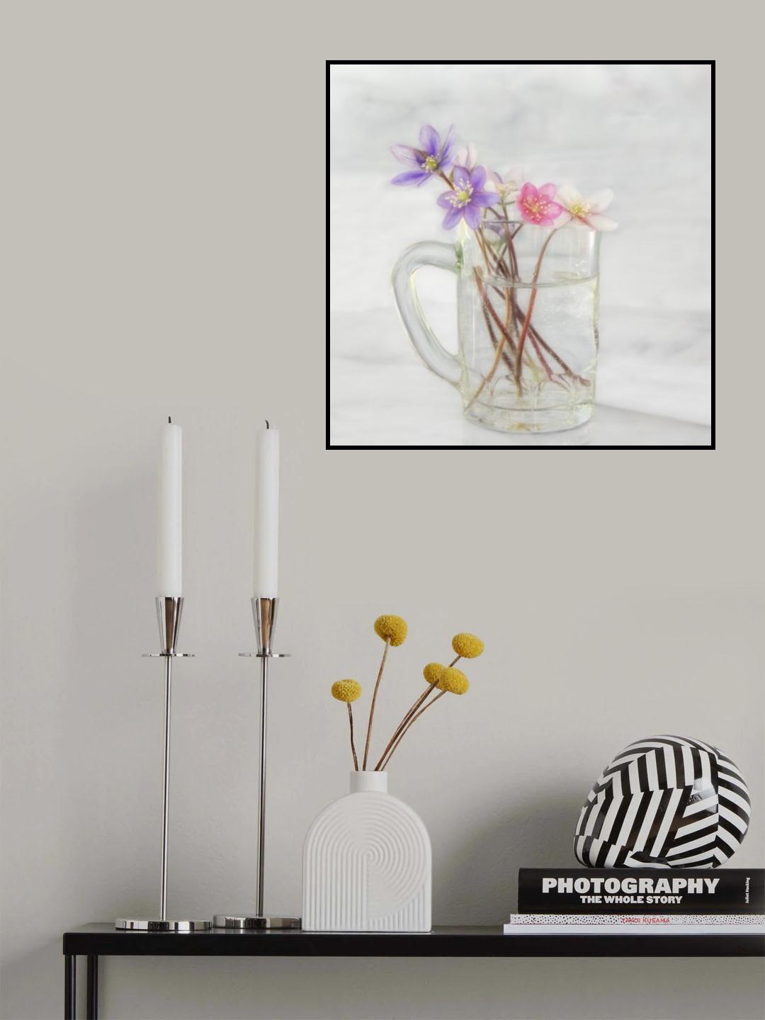 Anemones Poster och Canvastavla