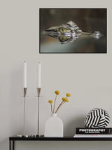 the Eye Poster och Canvastavla