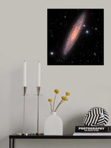 Sculptor Galaxy Poster och Canvastavla