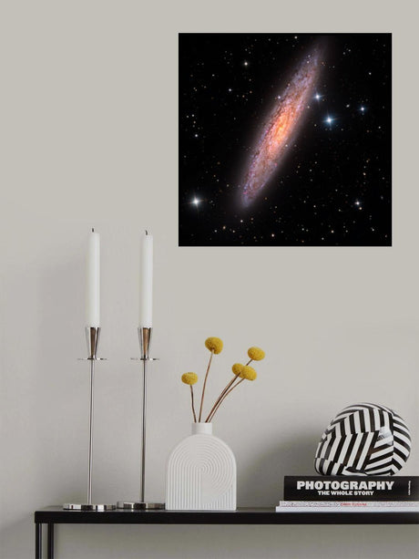 Sculptor Galaxy Poster och Canvastavla