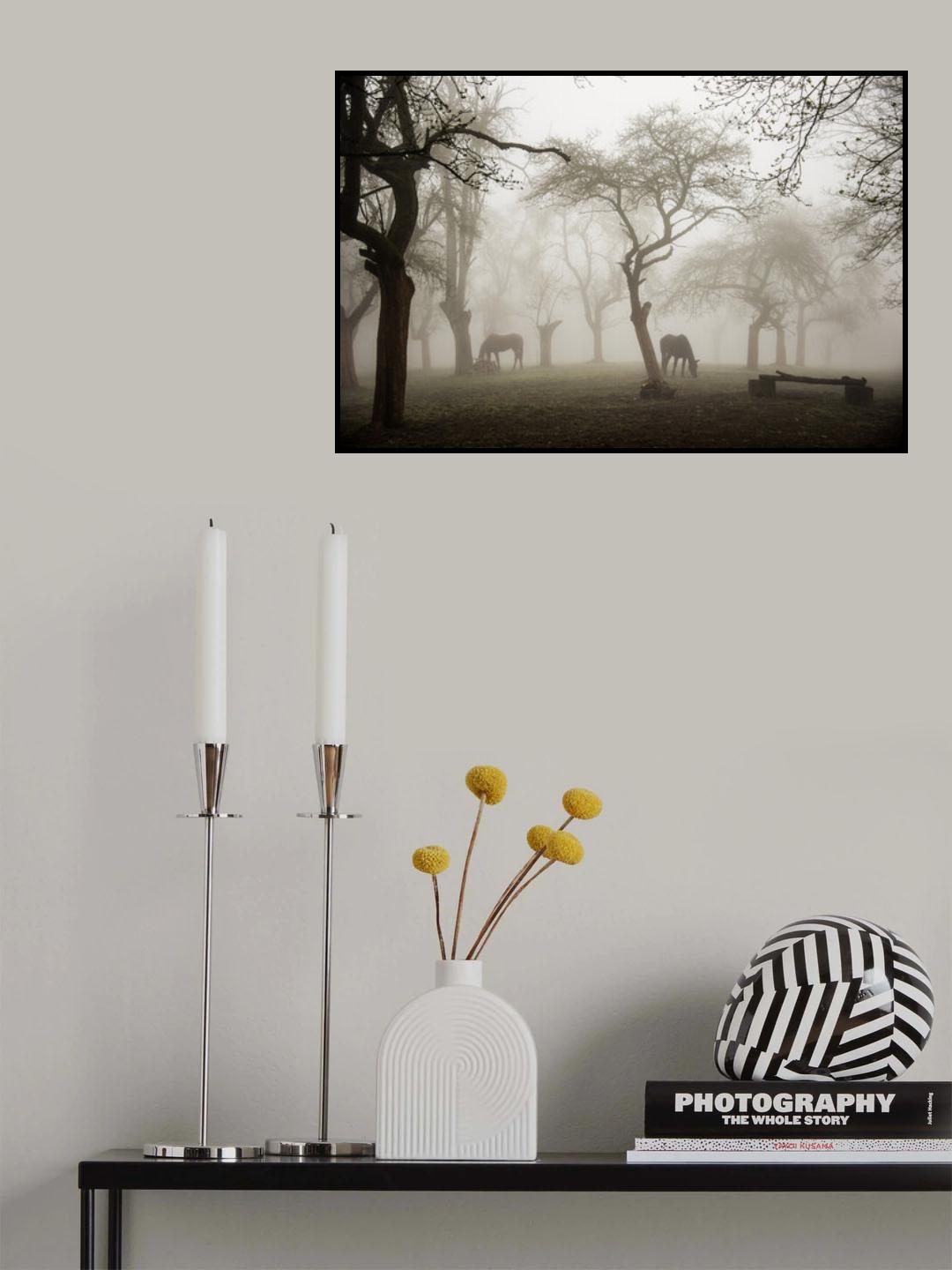 Horses in a foggy orchard Poster och Canvastavla