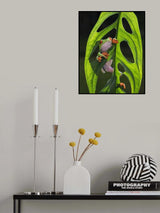when the weather is fine Poster och Canvastavla