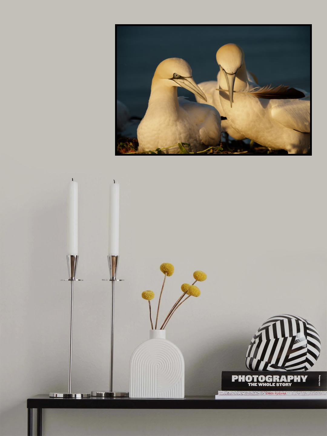Gift for you... Poster och Canvastavla