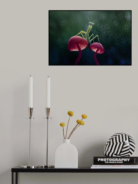 Super Mantish Poster och Canvastavla