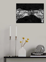 French Kiss Poster och Canvastavla