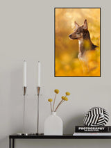 Golden Poster och Canvastavla