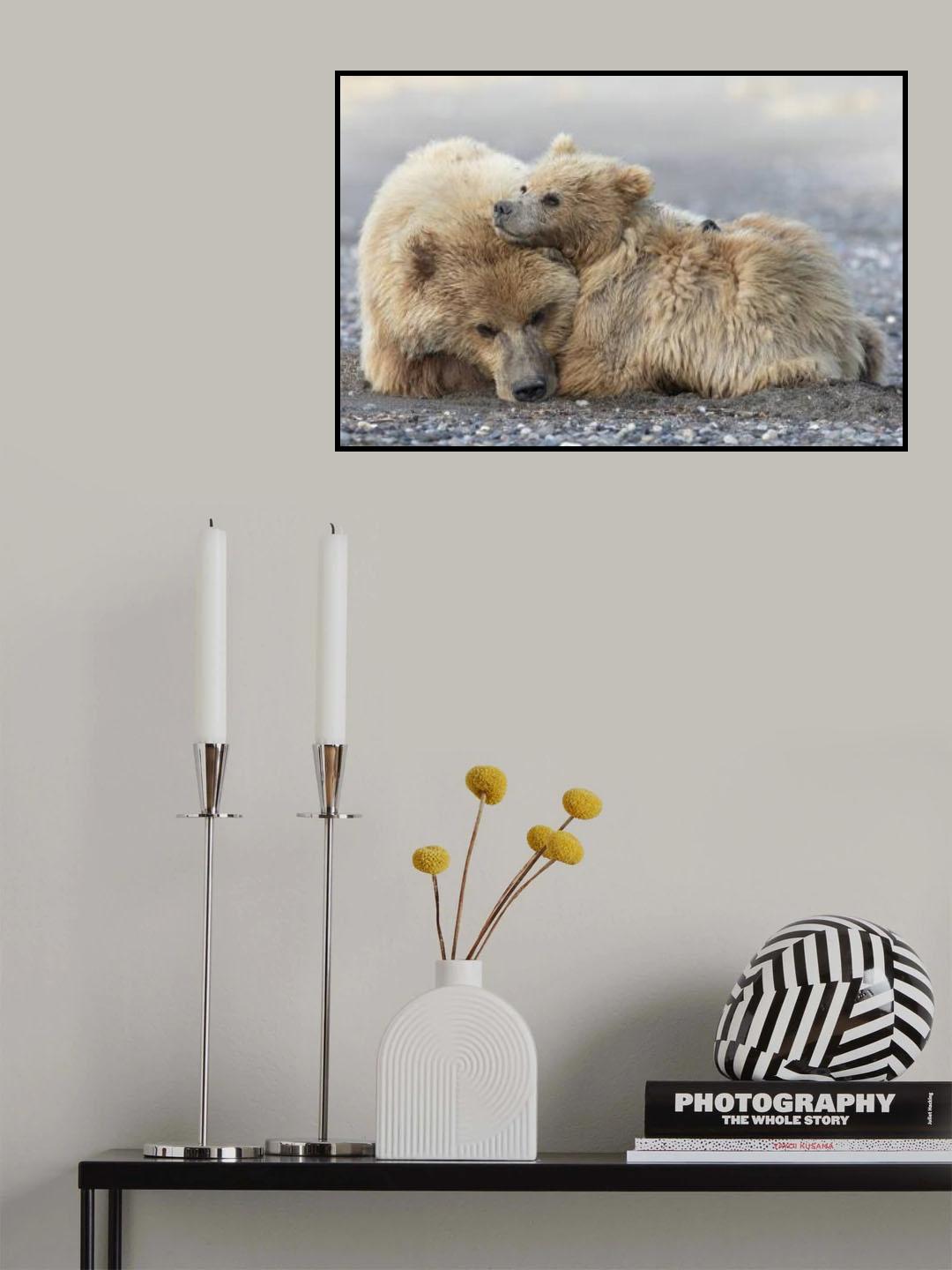Cuddles Poster och Canvastavla
