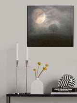 Some Nights... Poster och Canvastavla