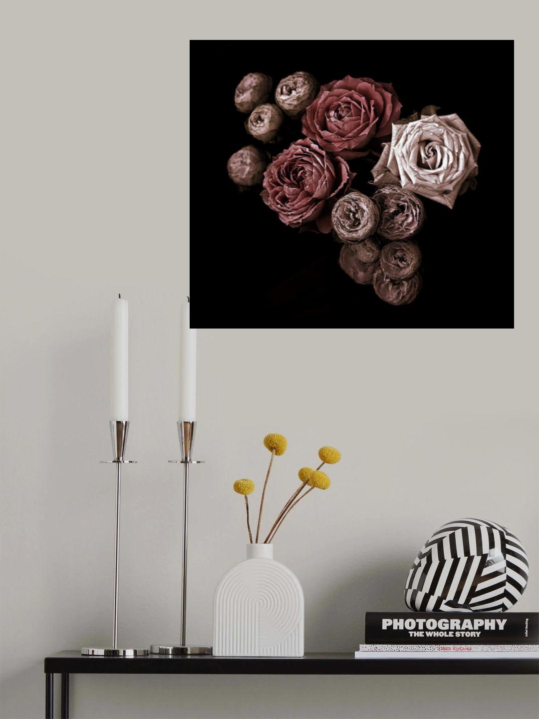 Roses Poster och Canvastavla