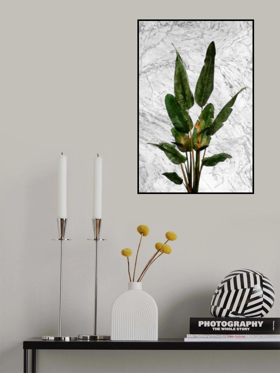 Bird of Paradise Plant on Marble Wall Poster och Canvastavla