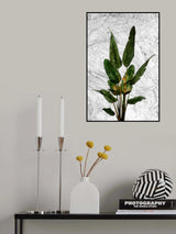 Bird of Paradise Plant on Marble Wall Poster och Canvastavla