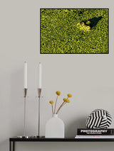 Camouflage Poster och Canvastavla