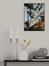 Palmhuset Poster och Canvastavla