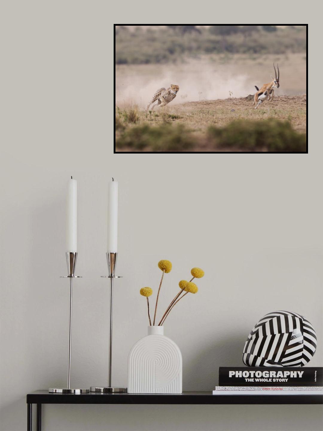 ti prendo Poster och Canvastavla