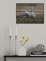 I'm still hungry Poster och Canvastavla