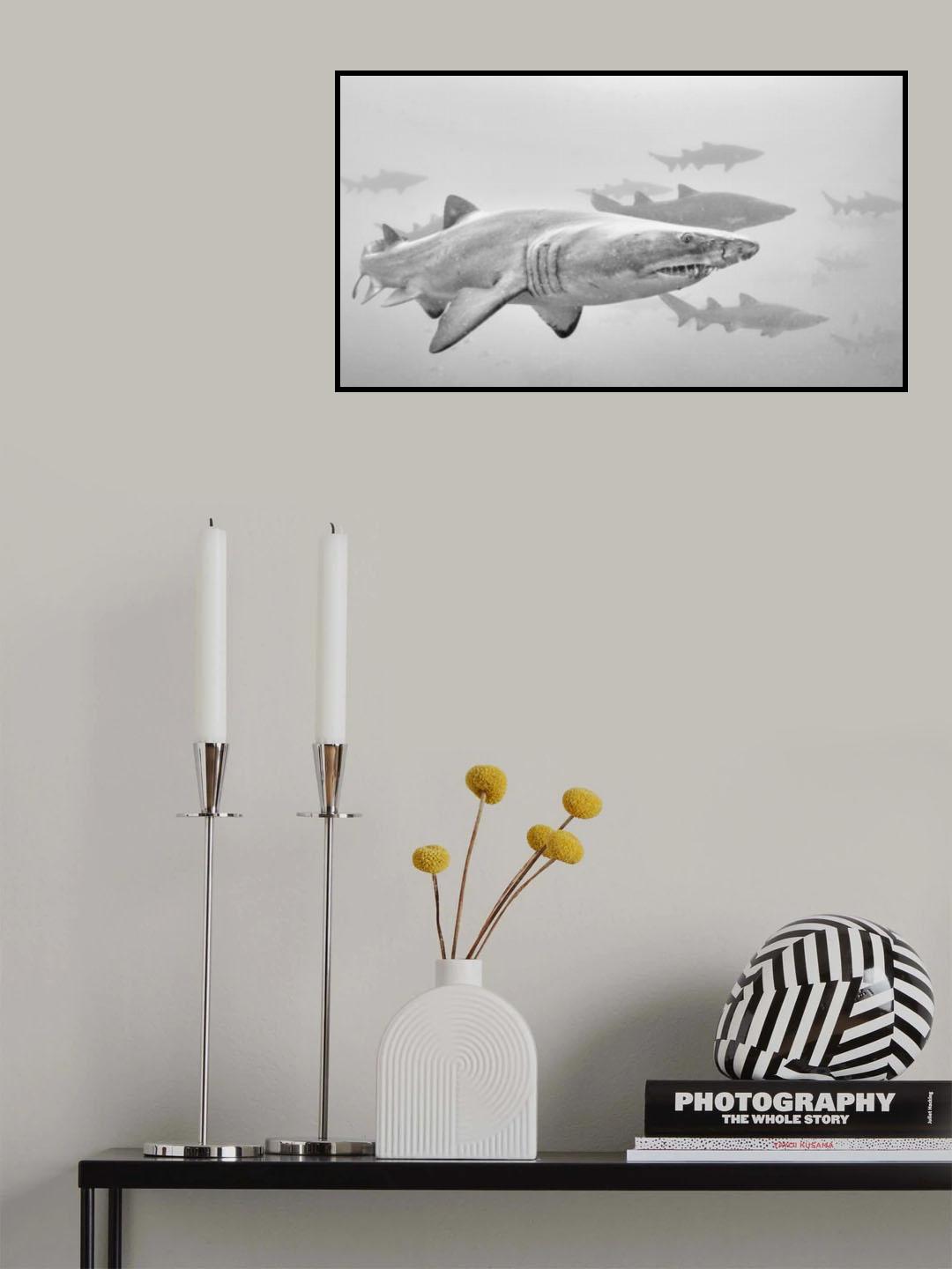Sharks on their mission Poster och Canvastavla