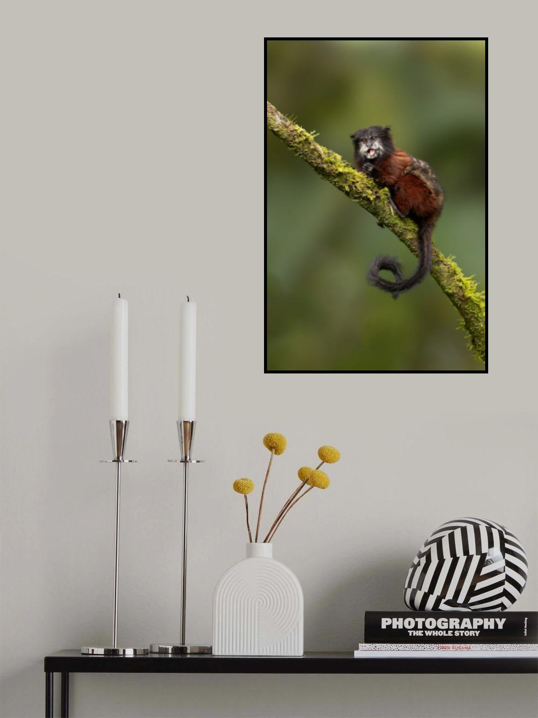 Resting Poster och Canvastavla