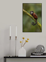 Resting Poster och Canvastavla