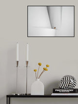 White call Poster och Canvastavla