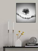 Trapped Poster och Canvastavla