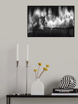 down fall Poster och Canvastavla