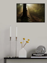 Poster och Canvastavla