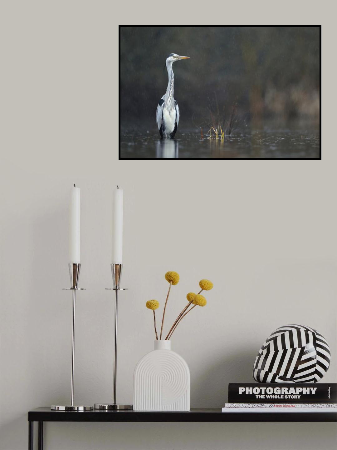 Héron sous la pluie Poster och Canvastavla