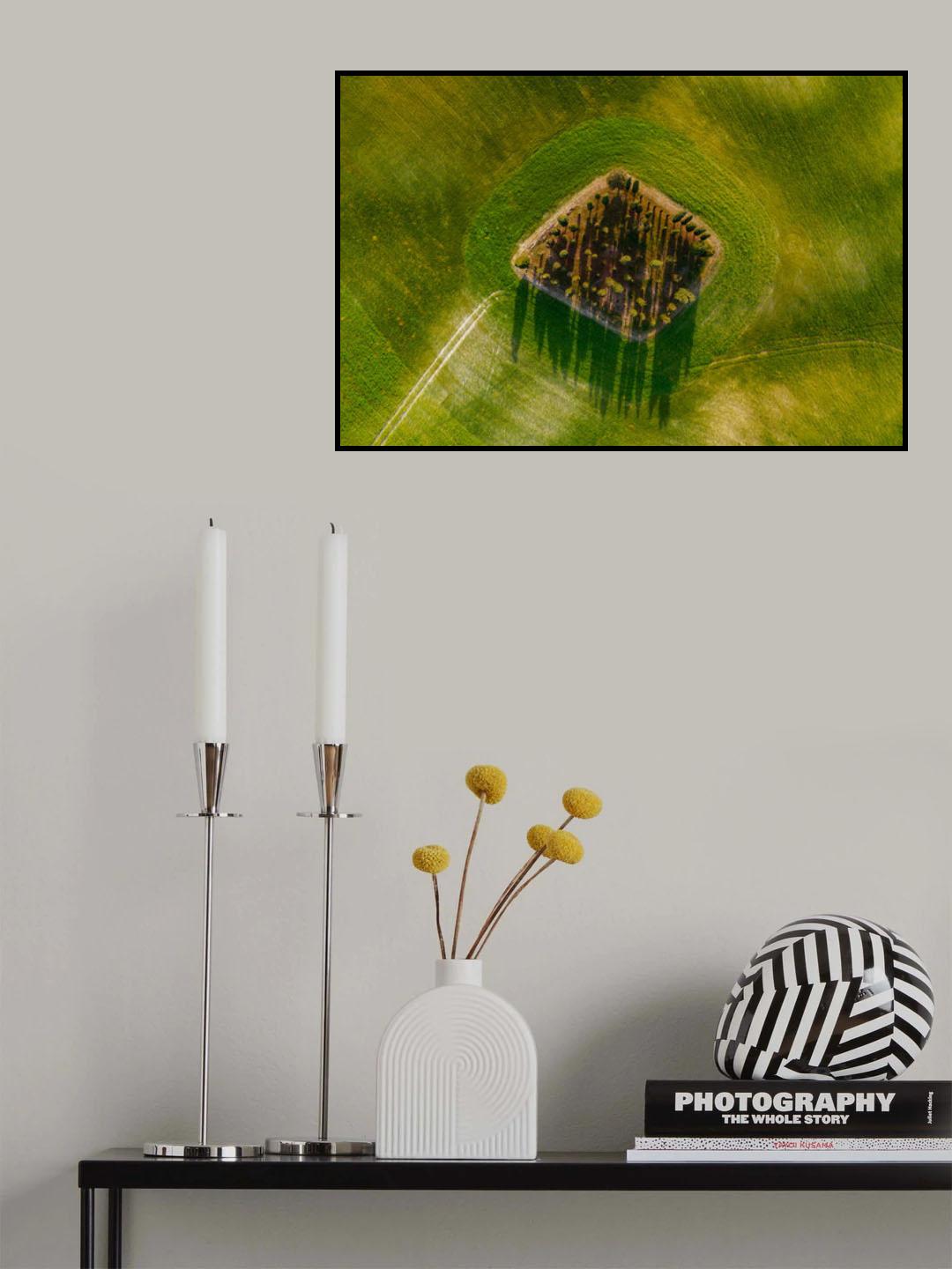 Bird eye Poster och Canvastavla