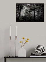Primary forest Poster och Canvastavla