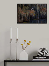 White heron on the Spanish moss Poster och Canvastavla